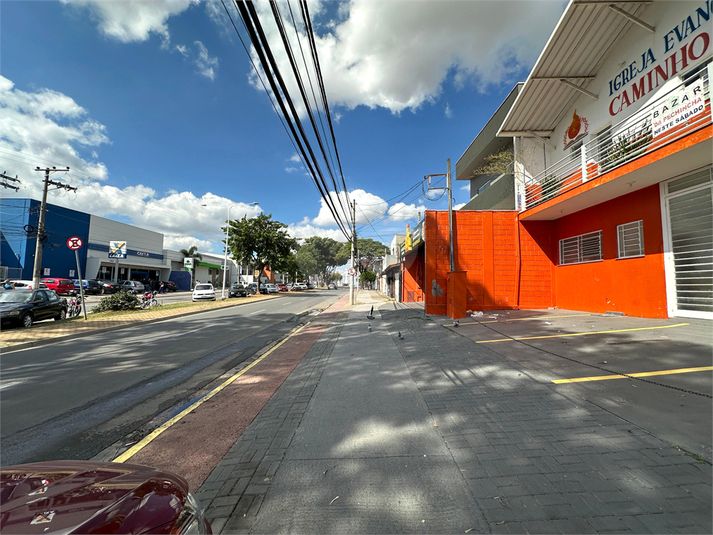 Foto REO756261