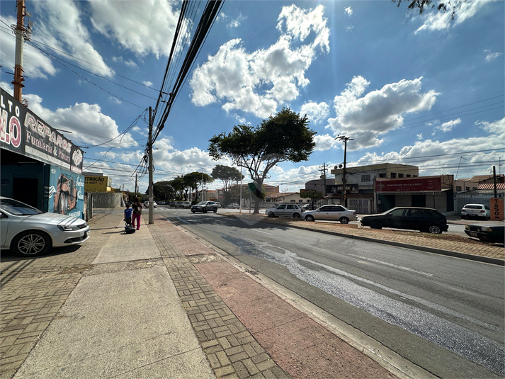 Foto REO756261
