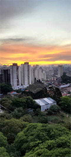 Venda Apartamento São Paulo Vila Campestre REO758078 5