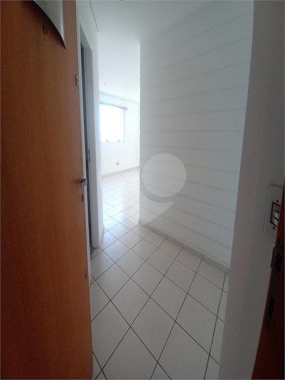 Foto REO758461