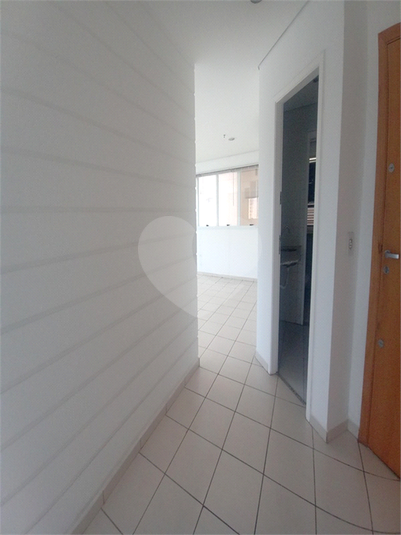 Foto REO758461