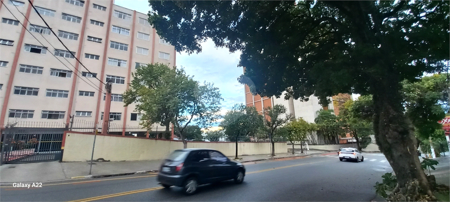 Foto REO758626