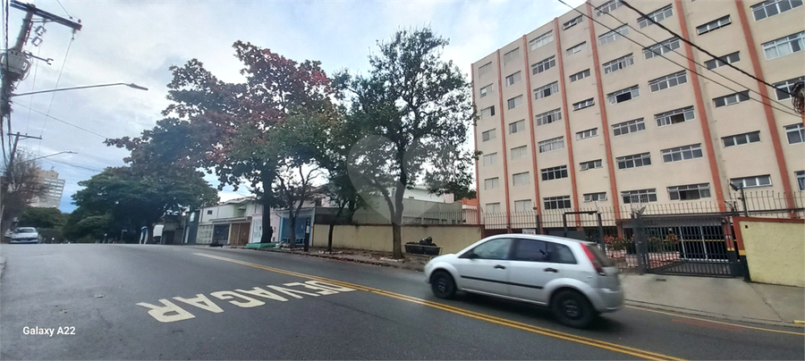 Foto REO758626