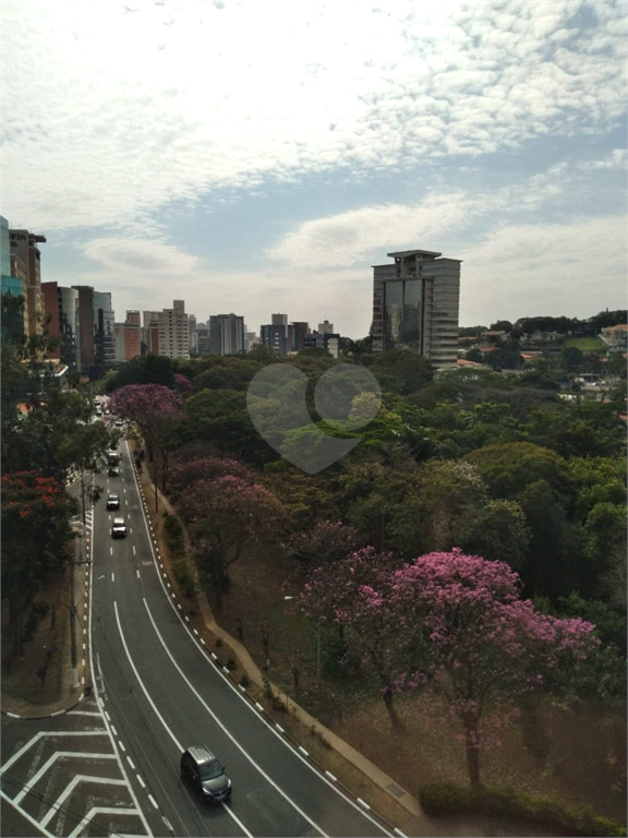 Aluguel Lajes Corporativas Campinas Cambuí REO758880 7