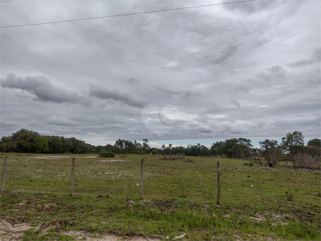 Venda Sítio São João Da Barra Cajueiro REO759174 5