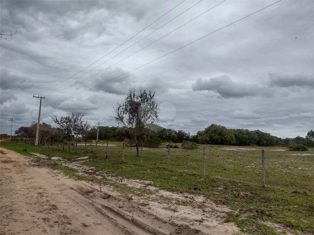 Venda Sítio São João Da Barra Cajueiro REO759174 4