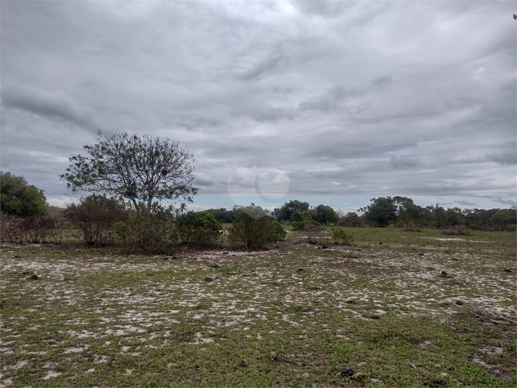 Venda Sítio São João Da Barra Cajueiro REO759174 6