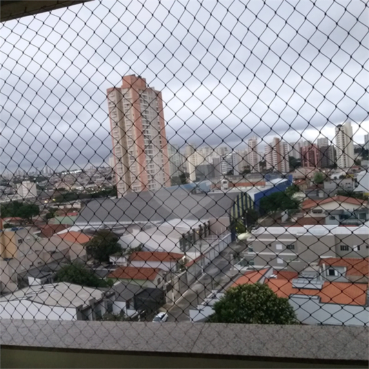 Foto REO759305