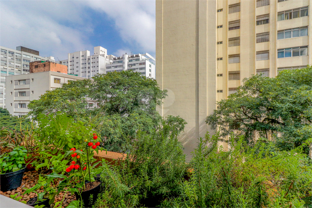 Venda Apartamento São Paulo Cerqueira César REO759543 5