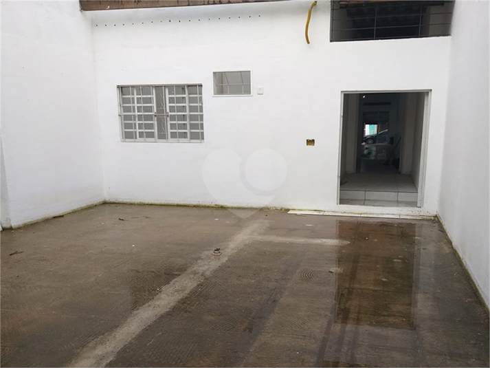 Foto REO759653