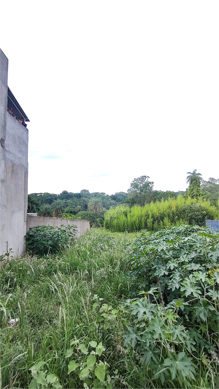 Venda Terreno São João Da Boa Vista Jardim Nova República REO759945 8