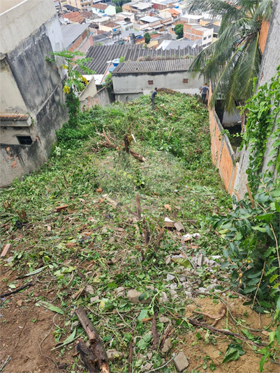 Venda Terreno Rio De Janeiro Braz De Pina REO759988 12