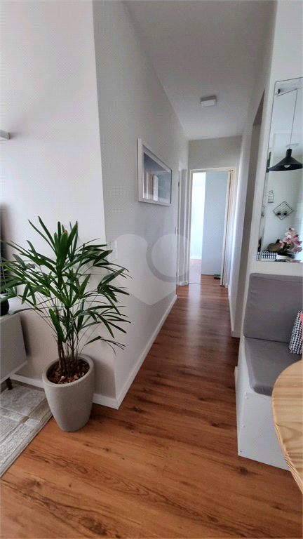 Venda Apartamento São Paulo Fazenda Morumbi REO760627 5