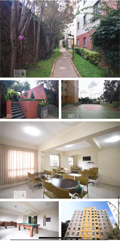 Venda Apartamento São Paulo Fazenda Morumbi REO760627 18