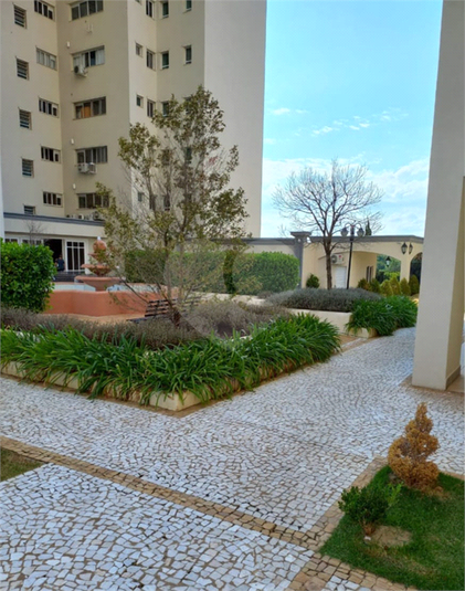 Venda Apartamento Itu Jardim Padre Bento REO760672 8