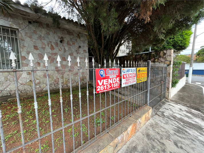 Foto REO760767