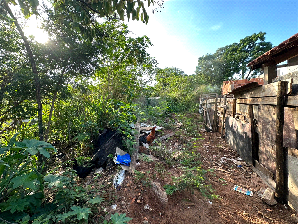 Venda Terreno Bauru Jardim Nicéia REO760886 6