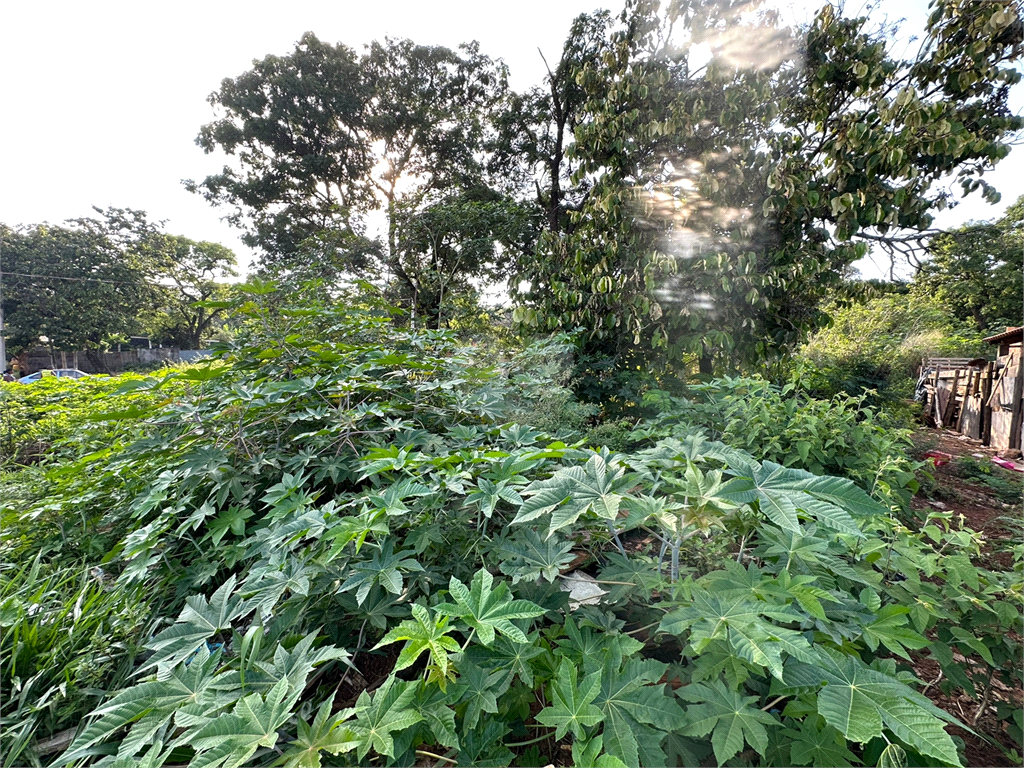 Venda Terreno Bauru Jardim Nicéia REO760886 7