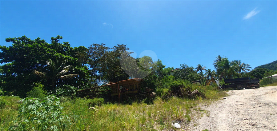 Foto REO760887