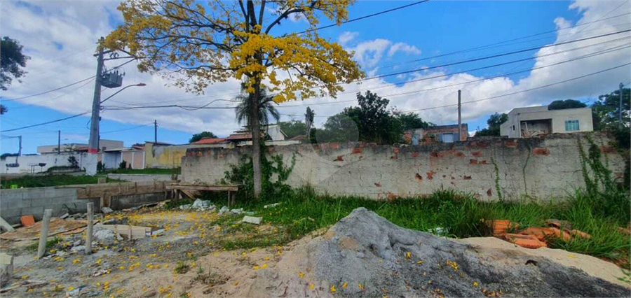 Foto REO760978
