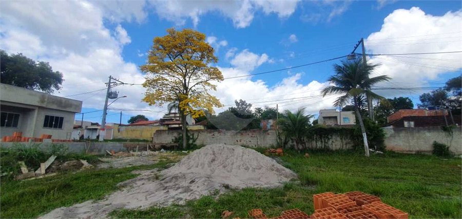 Foto REO760978