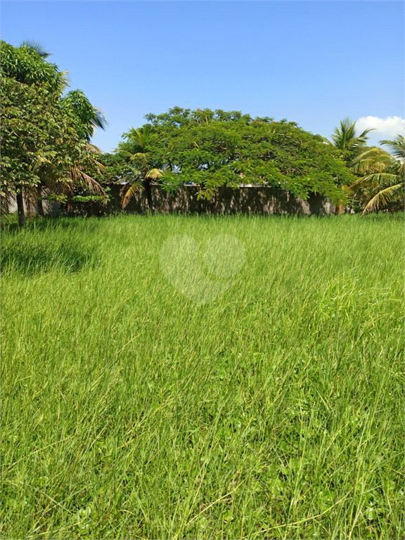 Venda Casa São João Da Barra Grussaí REO761241 7