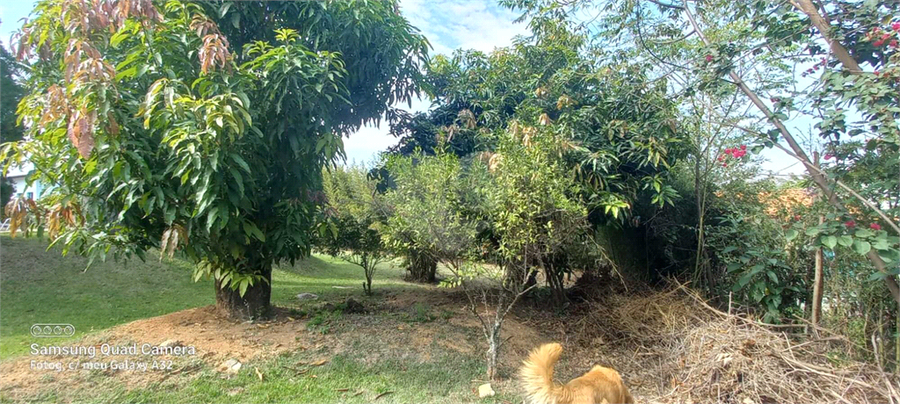 Foto REO761317