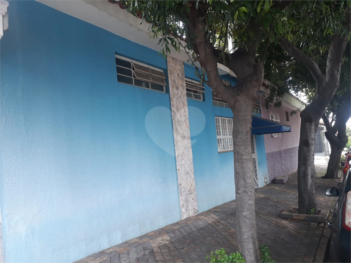 Foto REO761427