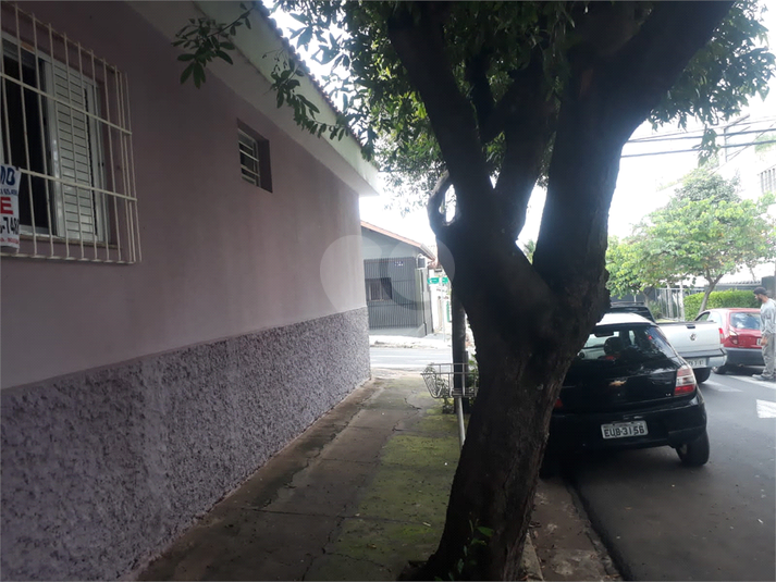 Foto REO761427