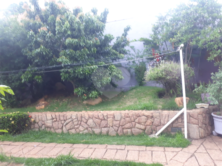 Foto REO761427
