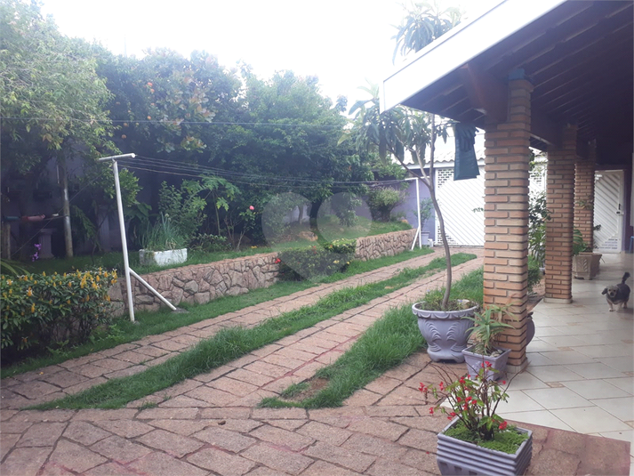 Foto REO761427