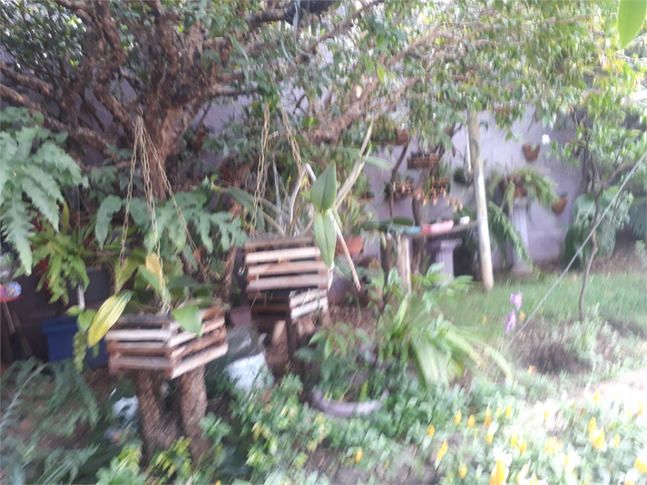 Foto REO761427