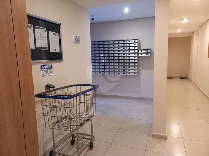 Foto REO761627