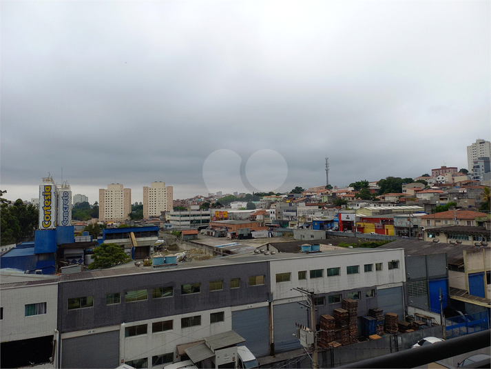 Foto REO761627