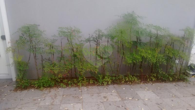 Foto REO76199