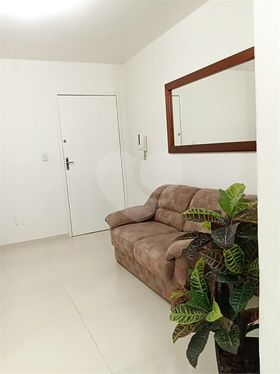 Venda Apartamento Cachoeirinha Vila Cachoeirinha REO762128 1