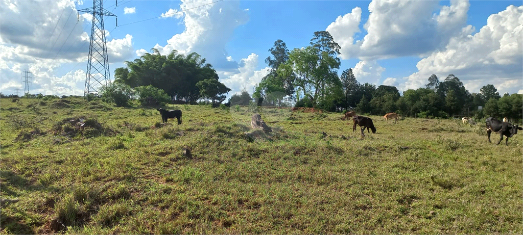 Venda Sítio Agudos Jardim Canaã REO762431 17