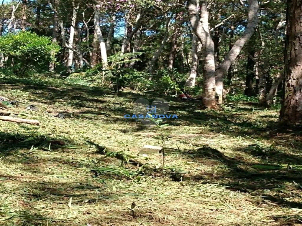 Venda Terreno São Bernardo Do Campo Curucutu REO762634 14