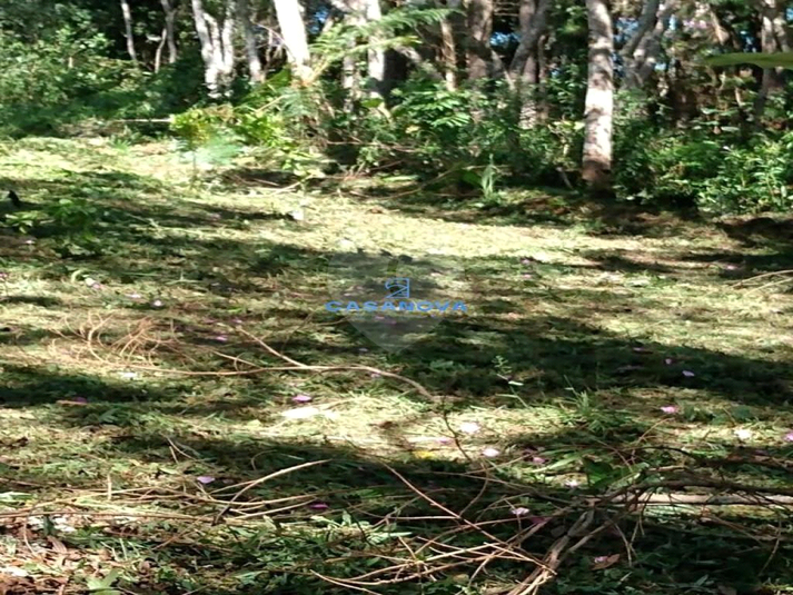 Venda Terreno São Bernardo Do Campo Curucutu REO762634 4