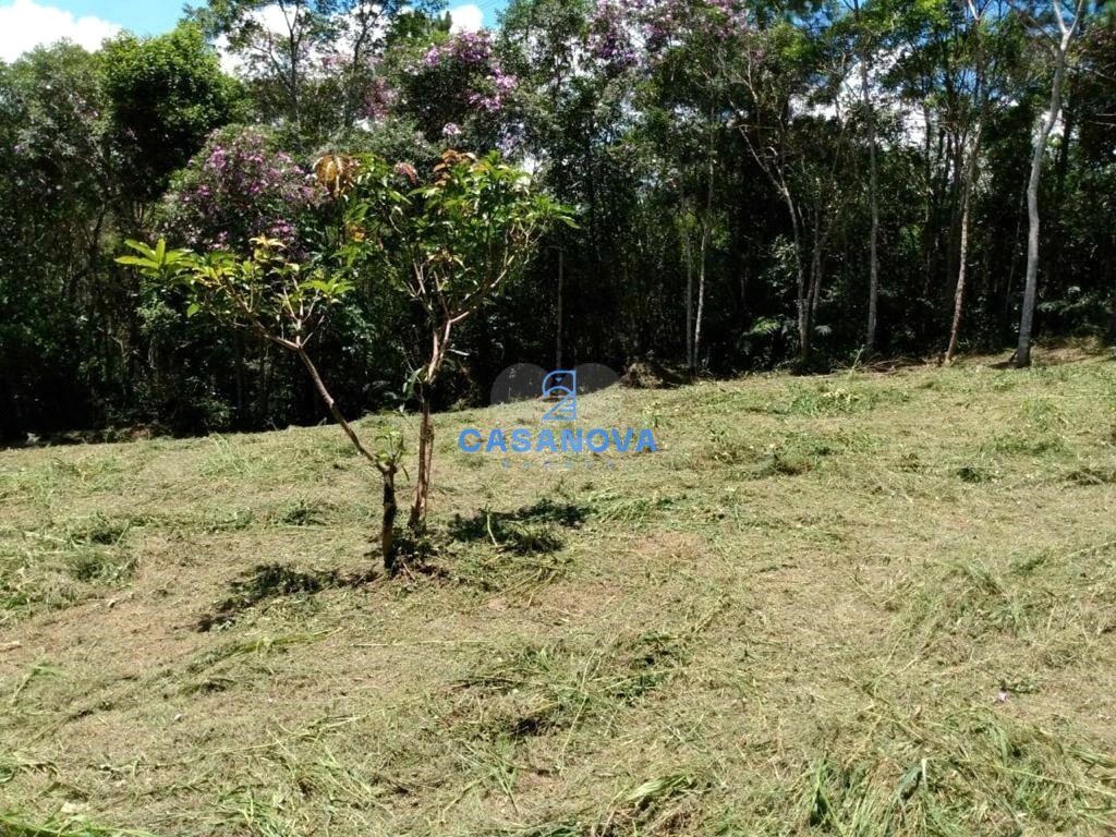 Venda Terreno São Bernardo Do Campo Curucutu REO762634 6