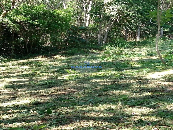 Venda Terreno São Bernardo Do Campo Curucutu REO762634 10