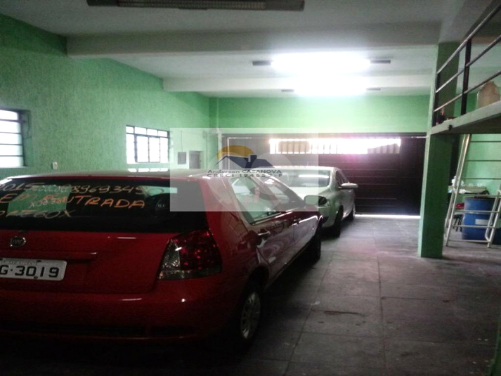 Foto REO762711