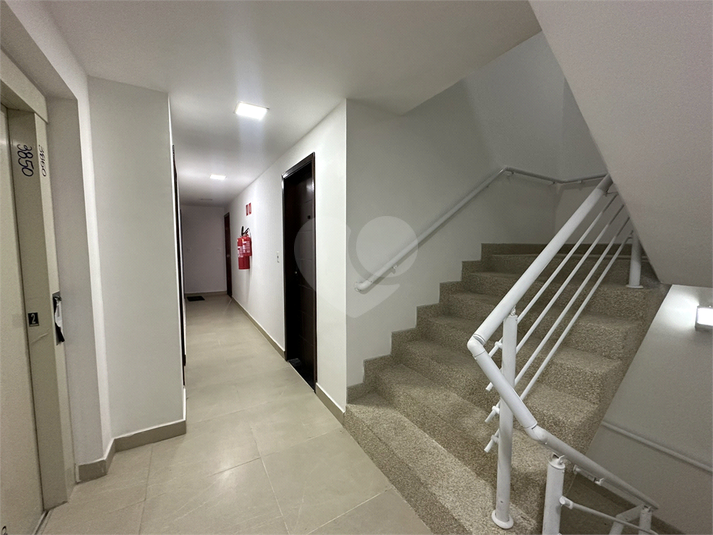 Foto REO763052