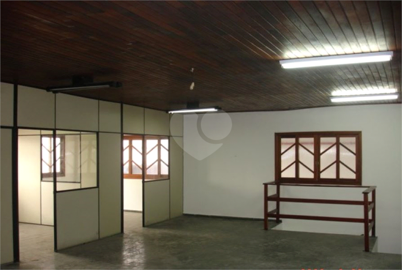 Foto REO763147