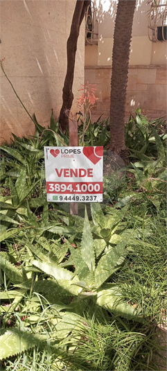 Foto REO763169