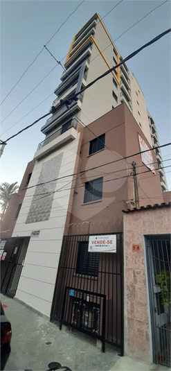 Foto REO763221
