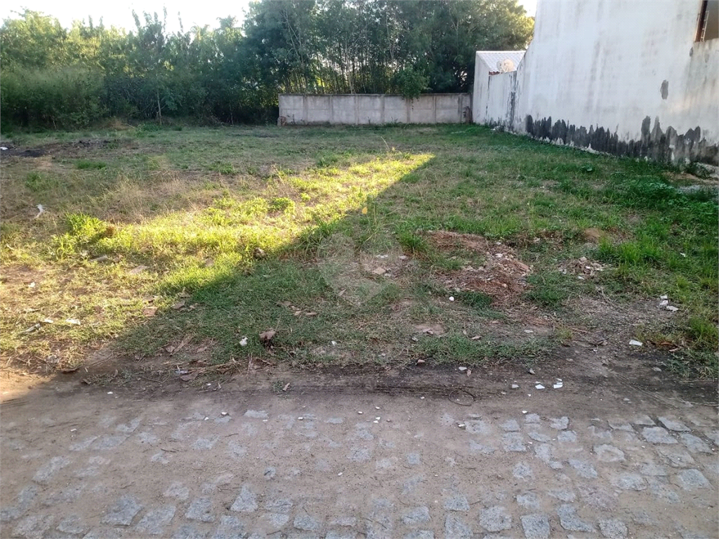 Venda Terreno Campos Dos Goytacazes Parque São Caetano REO763232 1