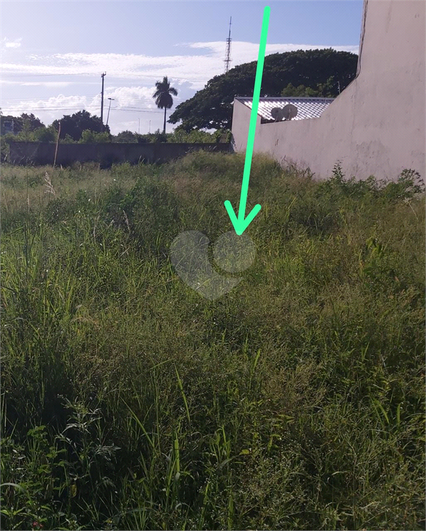 Venda Terreno Campos Dos Goytacazes Parque São Caetano REO763232 5