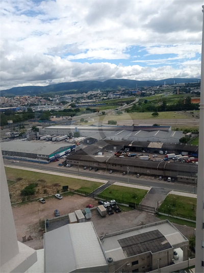 Foto REO763471