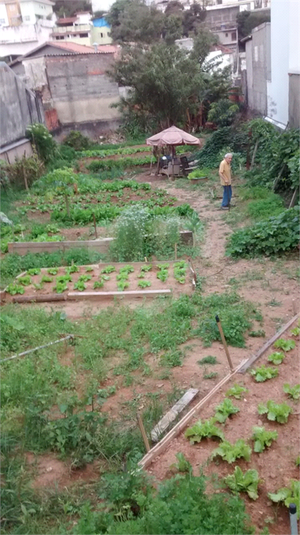 Venda Terreno São Paulo Vila Albertina REO763880 5